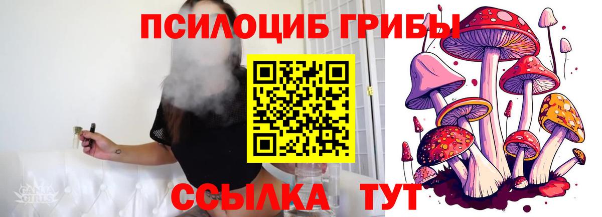 Галлюциногенные грибы GOLDEN TEACHER Рыбинск